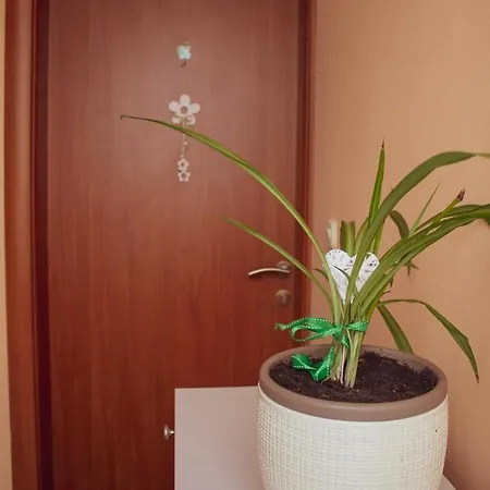 Mikula Apartman *